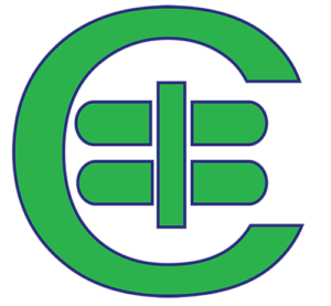 CAM Insurance Group - Logo 500